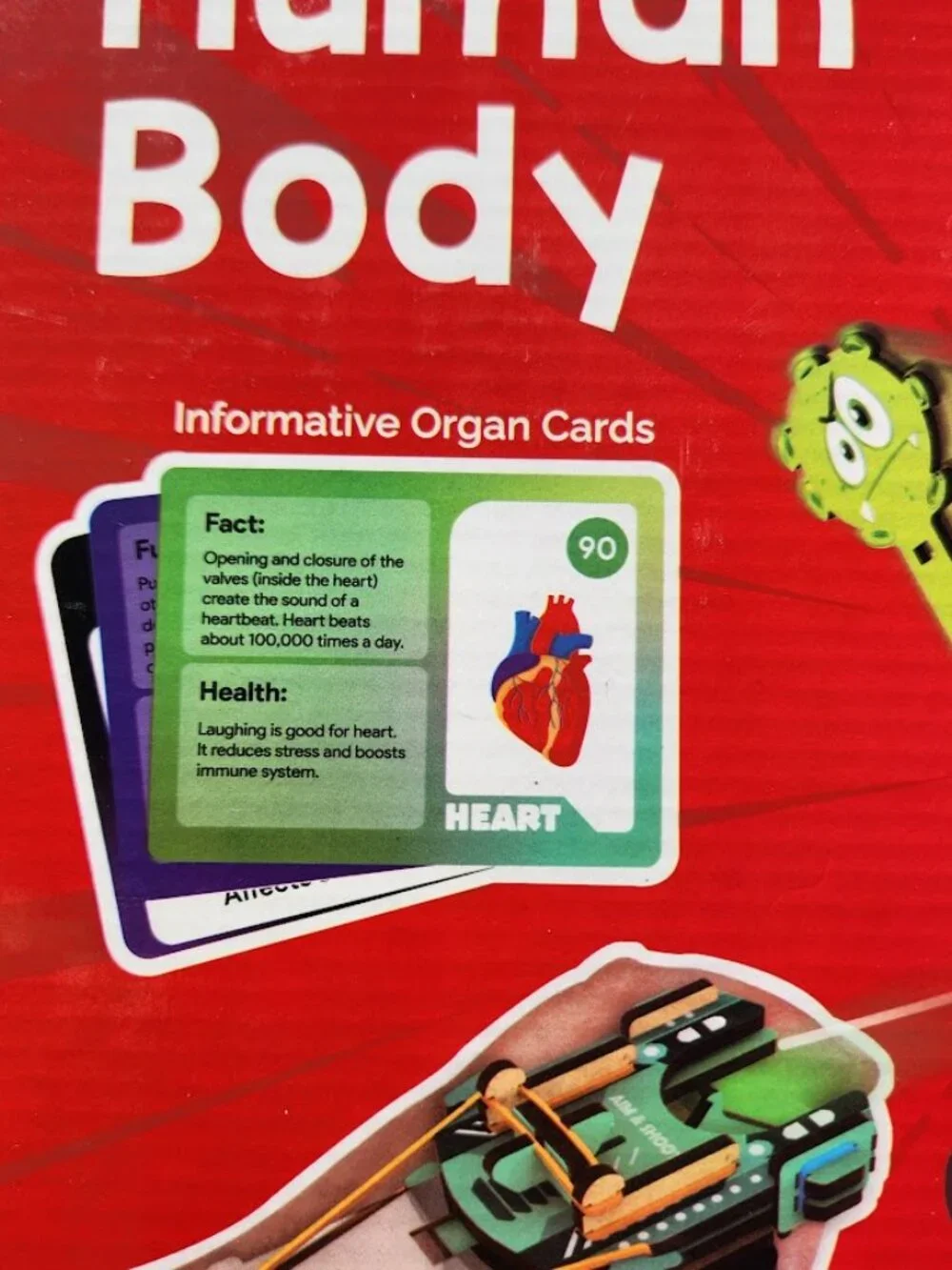 New Smartivity Human Body DIY Stem Kit Set Science Experiment Anatomy Biology 3D